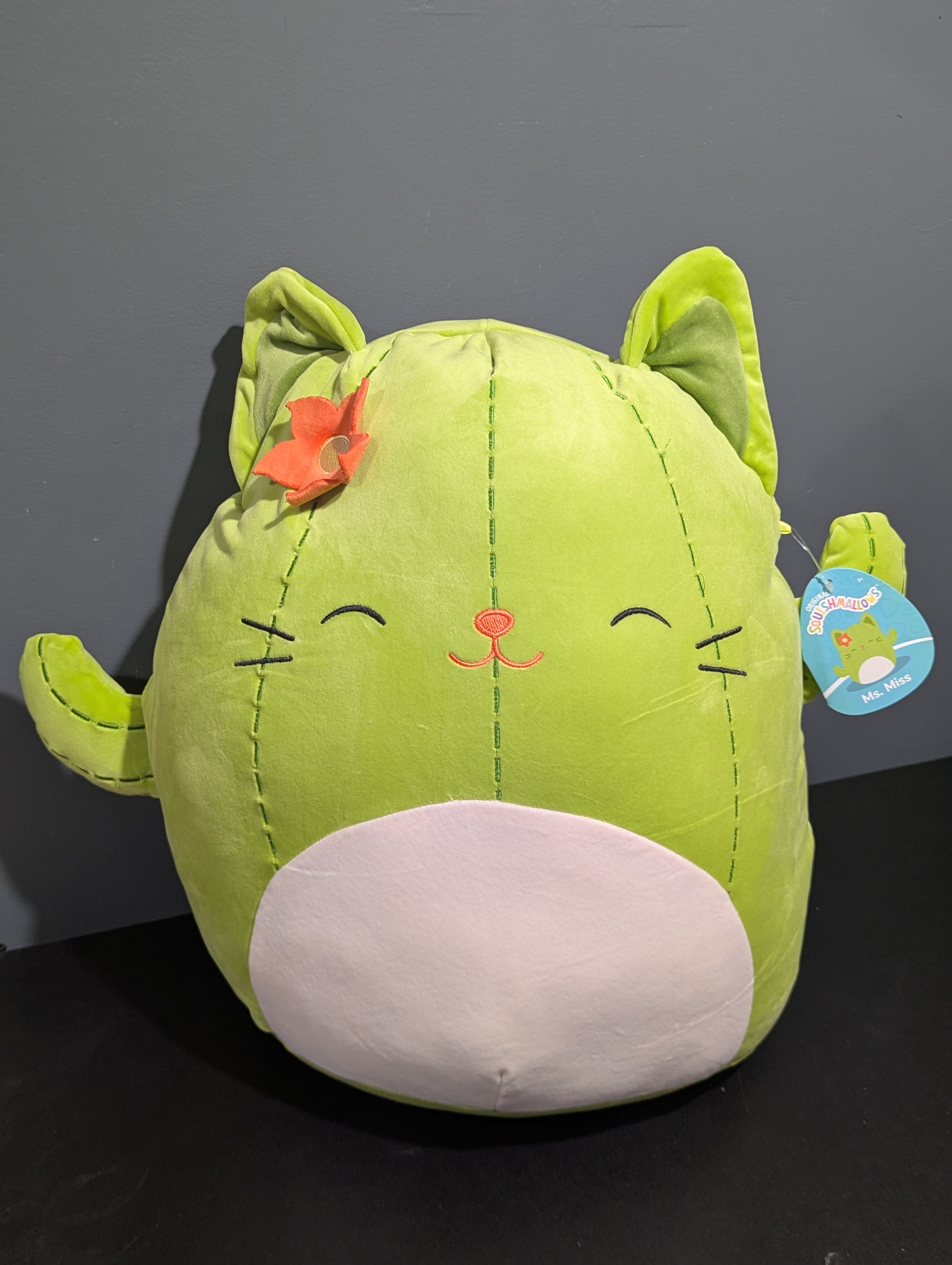Squishmallows 16 Ms. Miss Green Cactus Kitty NWT