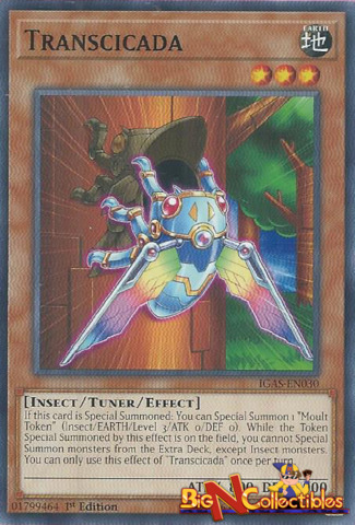 IGAS-EN030 - Transcicada - Common - 1st Edition