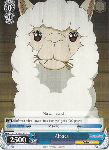 Alpaca (LL/W24-E088 C)