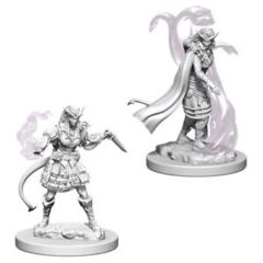 Tiefling Sorceror (Female) (73202)