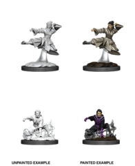 Human Monk (Female) (90008)