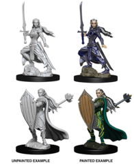 Elf Paladin (Female) (73706)