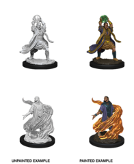 Elf Sorcerer (Male) (90005)