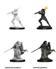 Human Paladin (Female) (73830)