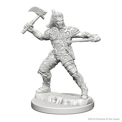 Human Ranger (Male) (72635)