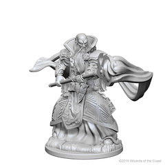 Human Wizard (Male) (72618)