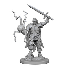 Human Cleric (Male) (72600)