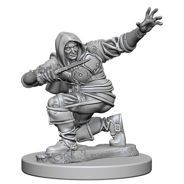 Human Rogue (Male) (72602)