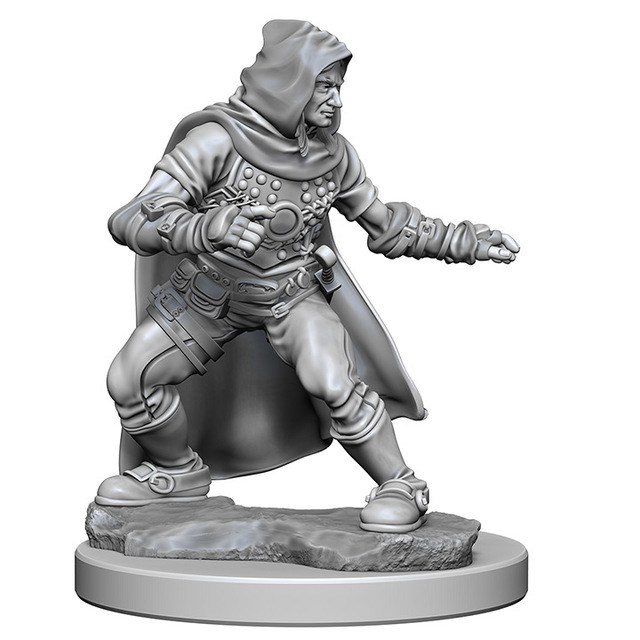 Human Rogue (Male) (72602)