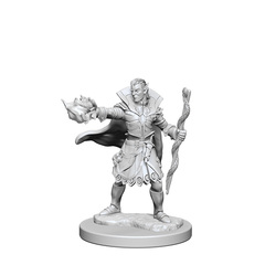 Elf Sorcerer (Male) (72605)