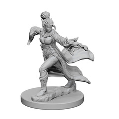 Elf Sorcerer (Female) (72606)