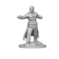 Human Monk (Male) (72612)