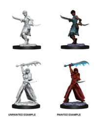 Human Rogue (Female) (73831)