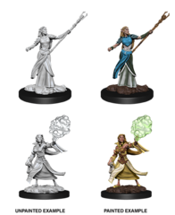 Elf Sorcerer (Female) (90054)