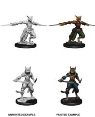 Tabaxi Rogue (Female) (73708)