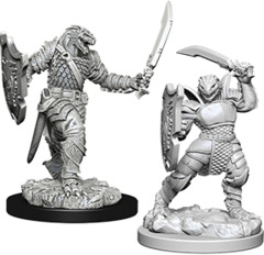 Dragonborn Paladin (Male) (73341)