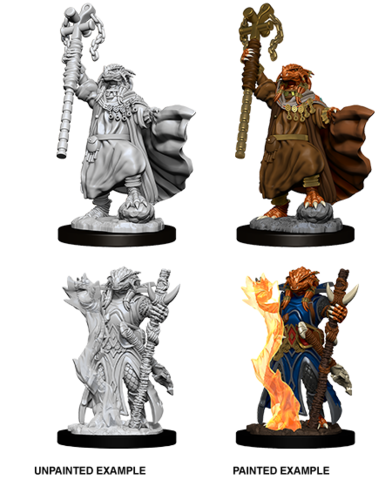 Dragonborn Sorcerer (Male) (73674)