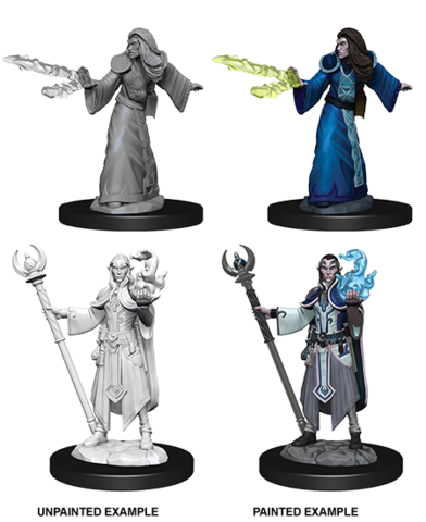 Elf Wizard (Male) (73709)