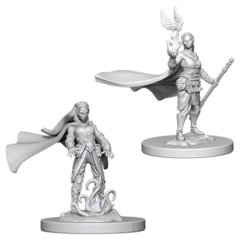 Elf Druid (Female) (72642)