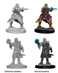 Human Wizard (Male) (73411)