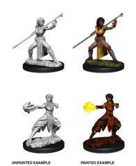 Half-Elf Monk (Female) (73839)