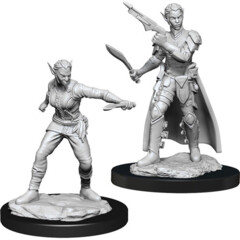 Shifter Rogue (Female) (90148) (Retired!)