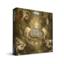 Rise of Tribes: Deluxe expansion board game