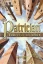Patrician - Towers of Influence: PRESALE board game calliope