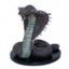 Emperor Cobra