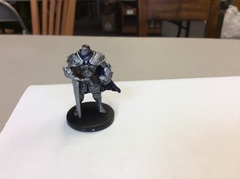 Half Orc Paladin