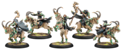 Hordes: Circle Orboros Druid Mist Riders unit (plastic) 72090