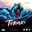 Tonari: PRESALE board game idw