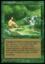 Sylvan Paradise