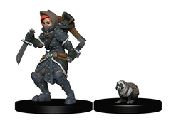 Wardlings Miniatures: Girl Rogue & Badger wizkids