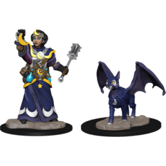 Wardlings Miniatures: Girl Cleric & Winged Cat wizkids