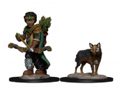 Wardlings Miniatures: Boy Ranger & Wolf wizkids