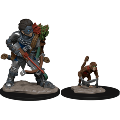 Wardlings Miniatures: Boy Rogue & Monkey wizkids