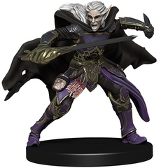 Elf Assassin