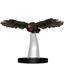 Vulture