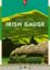 Irish Gauge: PRESALE board game capstone