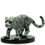 Snow Leopard