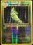 Metapod - 4/108 - Uncommon - Reverse Holo