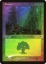 Forest (350) - Foil