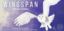 Wingspan: European expansion board game stonemaier
