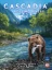 Cascadia: Rolling Rivers (stand alone) board game AEG