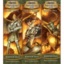 D&D Miniatures: Blood War booster case sealed (12-ct)