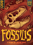 Fossilis: PRESALE board game