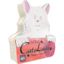 Cat Lady: Premium Edition board game AEG