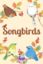 Songbirds: board game