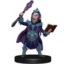 Gnome Mad Prophet